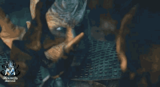 IMG_0378.gif.39a28627ae42746834f78413c5790e62.gif